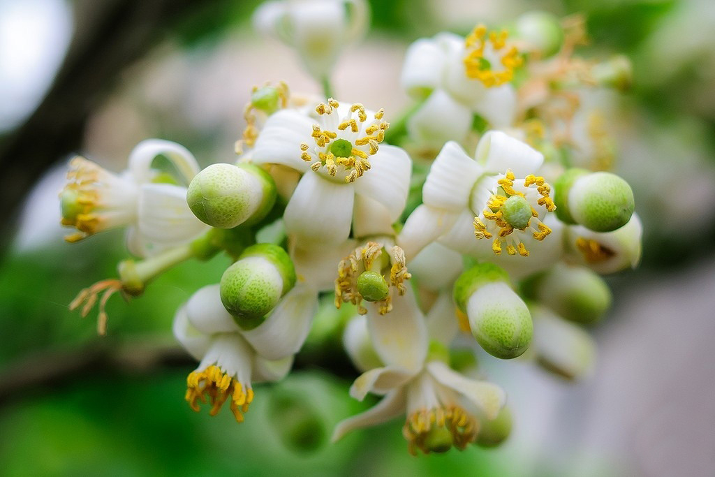 Dịu dàng tháng ba