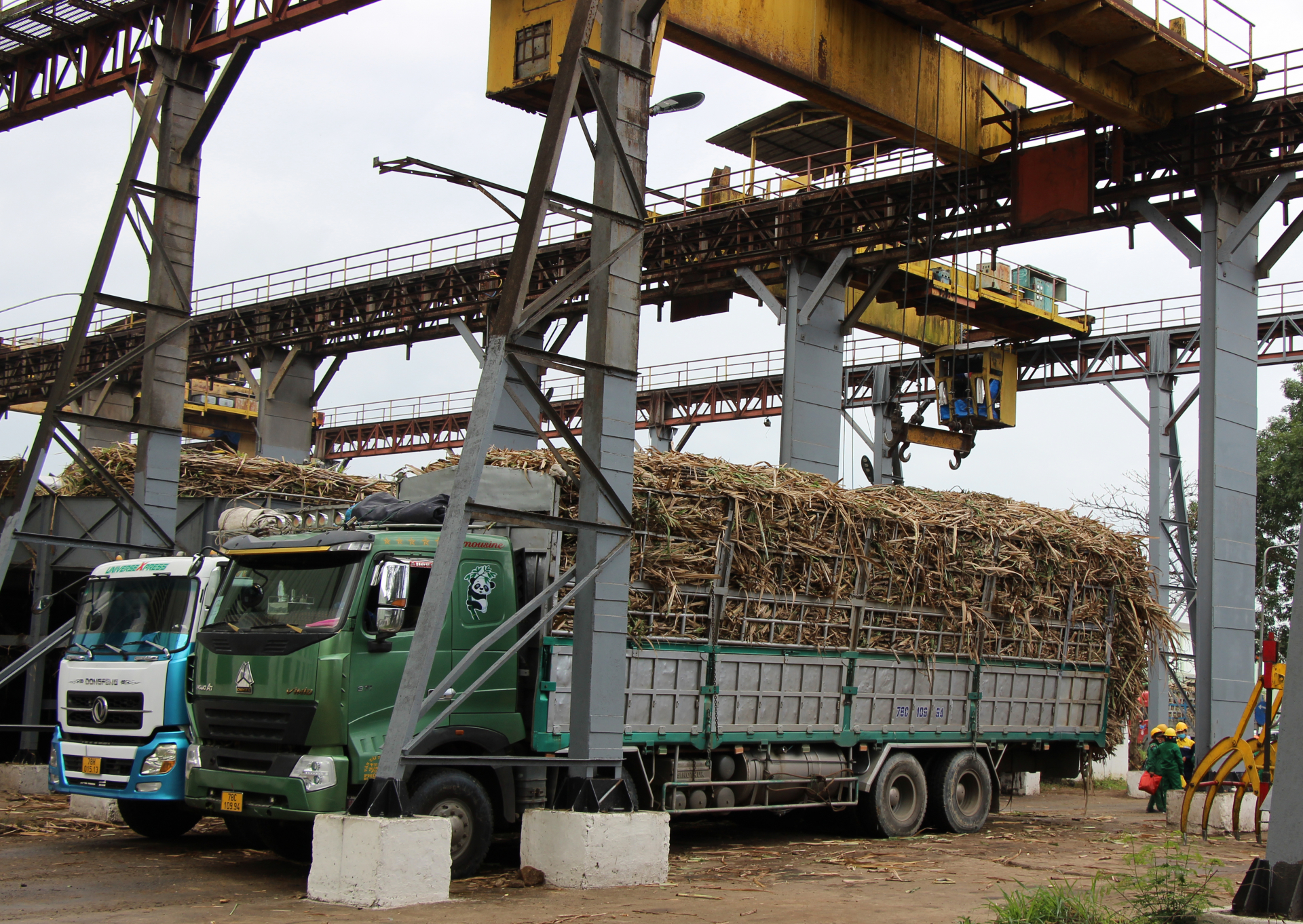 Doanh nghiệp không ngừng đổi mới, sáng tạo