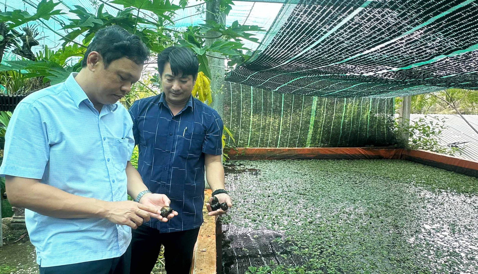 Xây dựng chi, tổ hội nông dân nghề nghiệp gắn với phát triển kinh tế