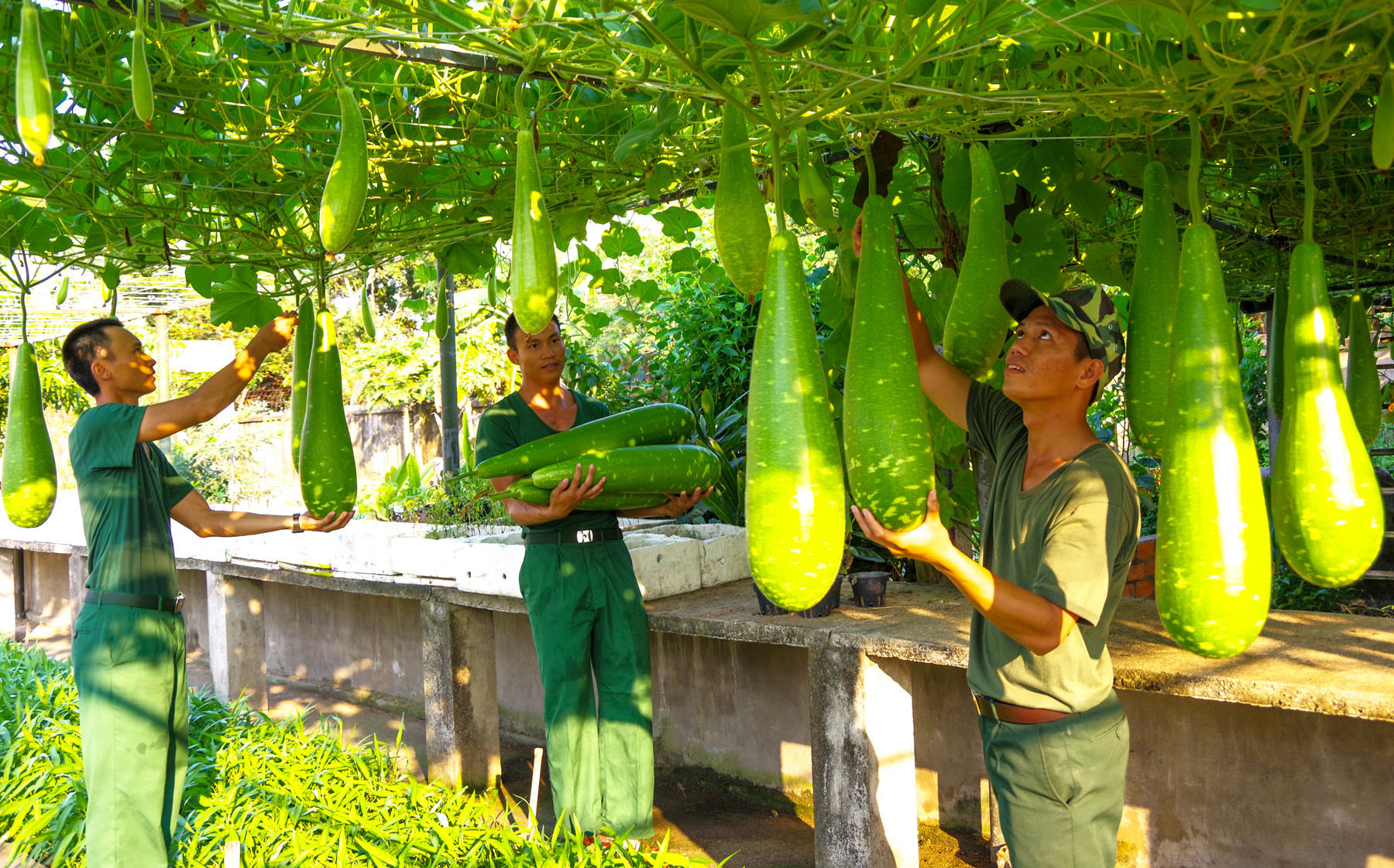 Chăm lo tốt đời sống, bữa ăn hàng ngày cho chiến sĩ mới