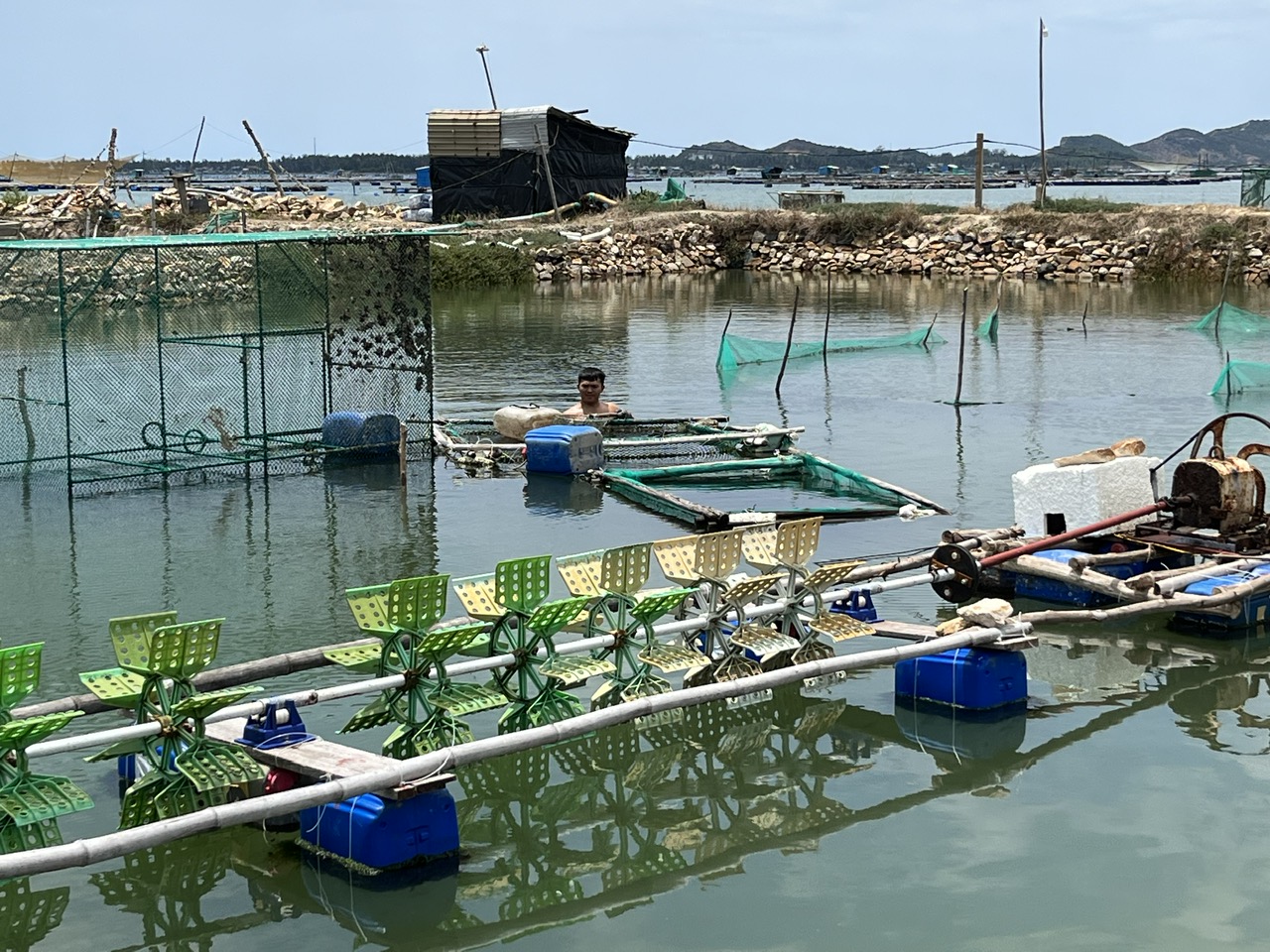Nỗ lực khôi phục lĩnh vực thủy sản trong hợp tác xã