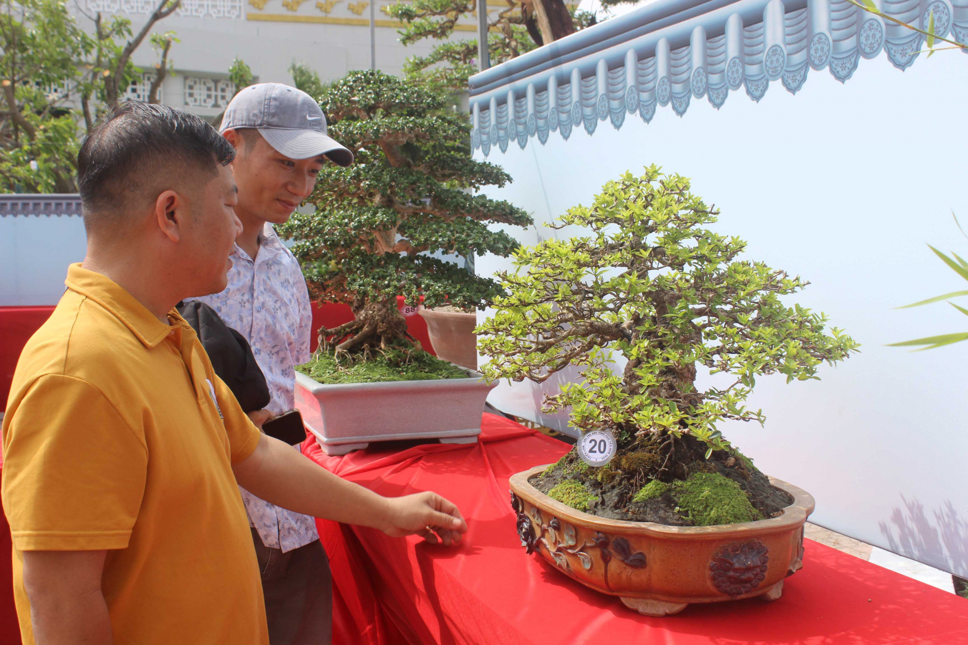 Trưng bày gần 1.000 tác phẩm bonsai, sinh vật cảnh