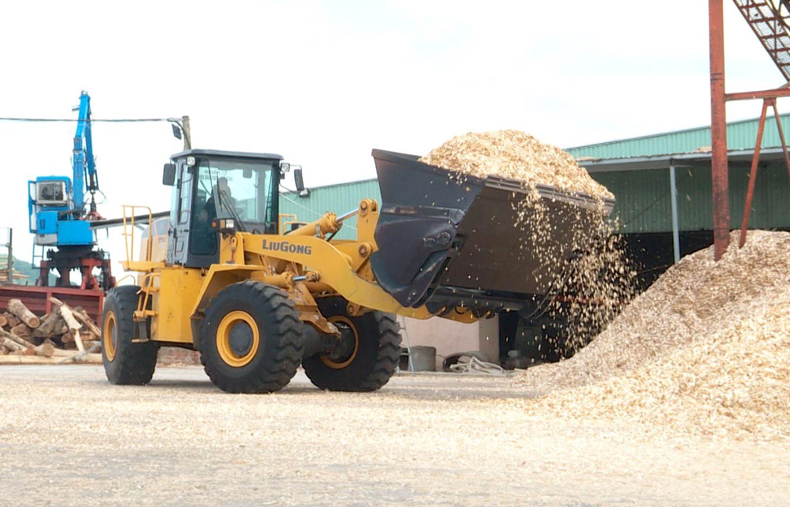 Khởi động điều tra doanh nghiệp, “bắt mạch” sức khỏe nền kinh tế