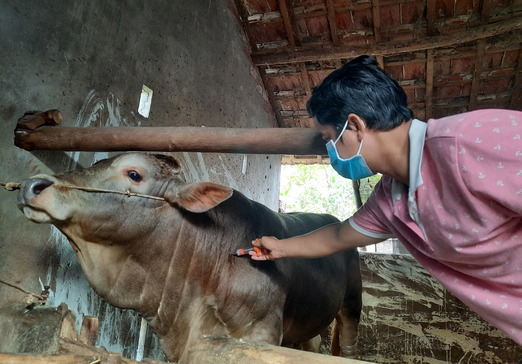 Tăng cường tuyên truyền, tiêm phòng vắc xin cho vật nuôi