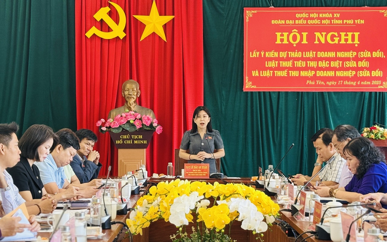 Đoàn Đại biểu Quốc hội tỉnh lấy ý kiến 3 dự thảo luật sửa đổi