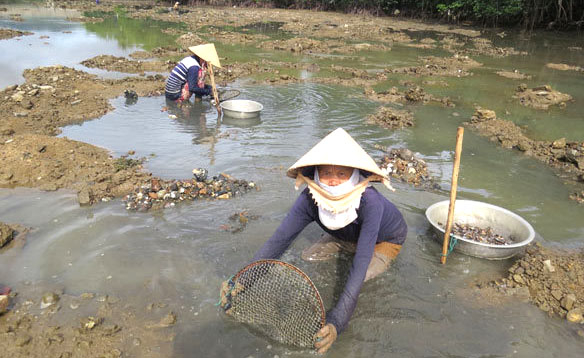 Mưu sinh ở vịnh Xuân Đài