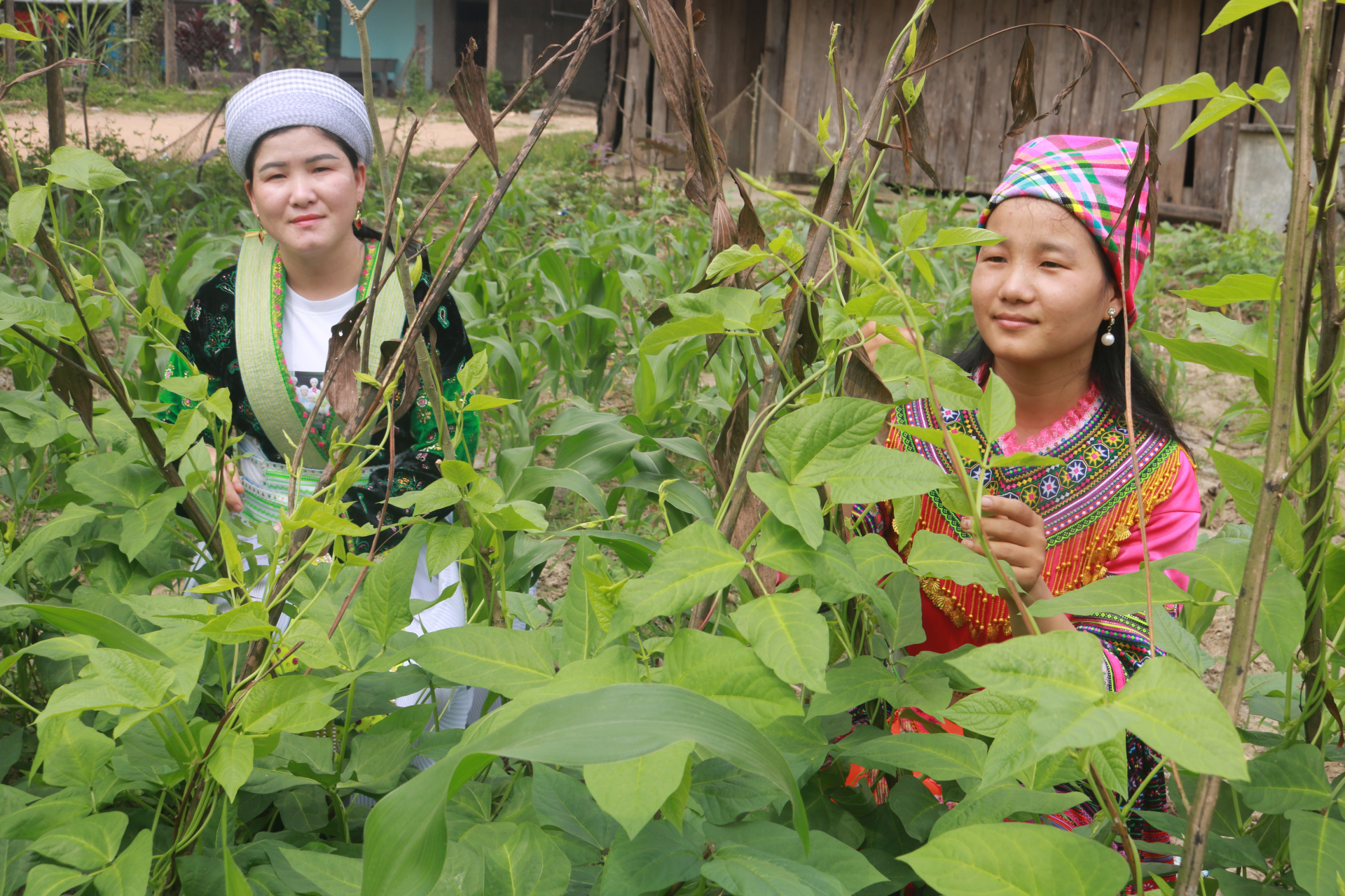 Làng H’Mông ở Nam Giang