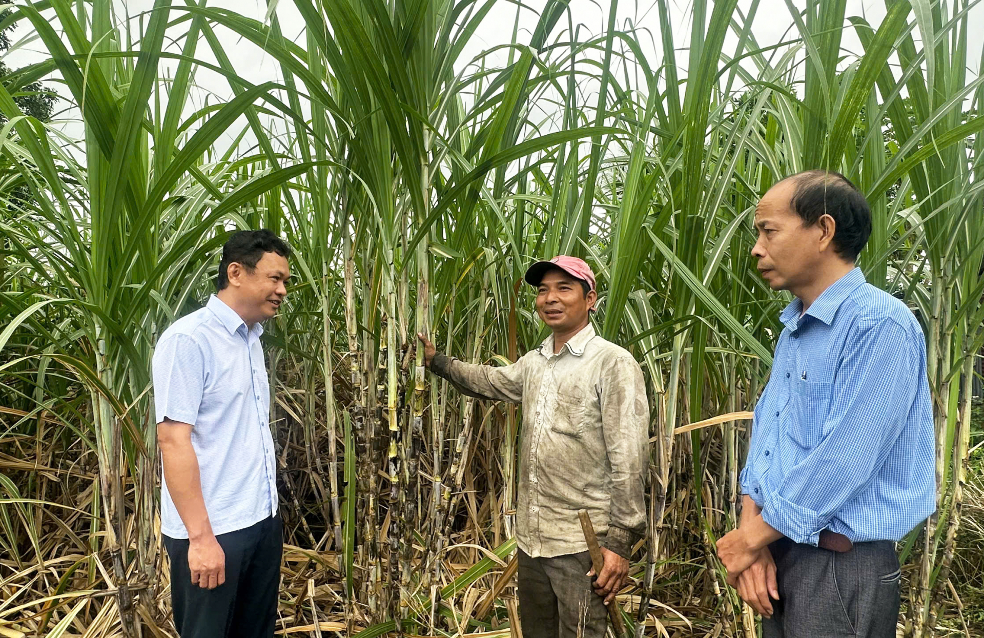 Đồng hành cùng nông dân