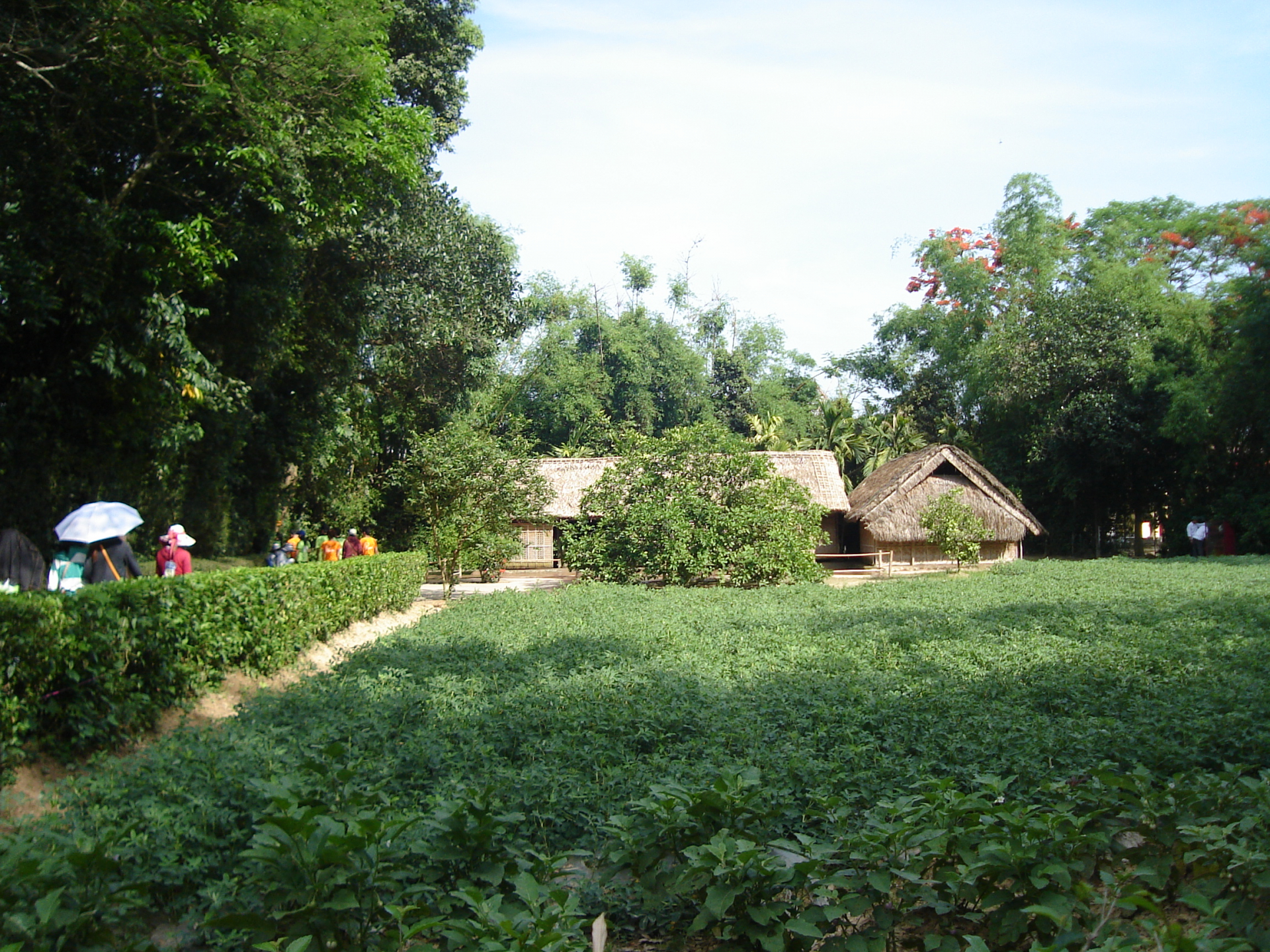 Tháng Năm về thăm quê Bác