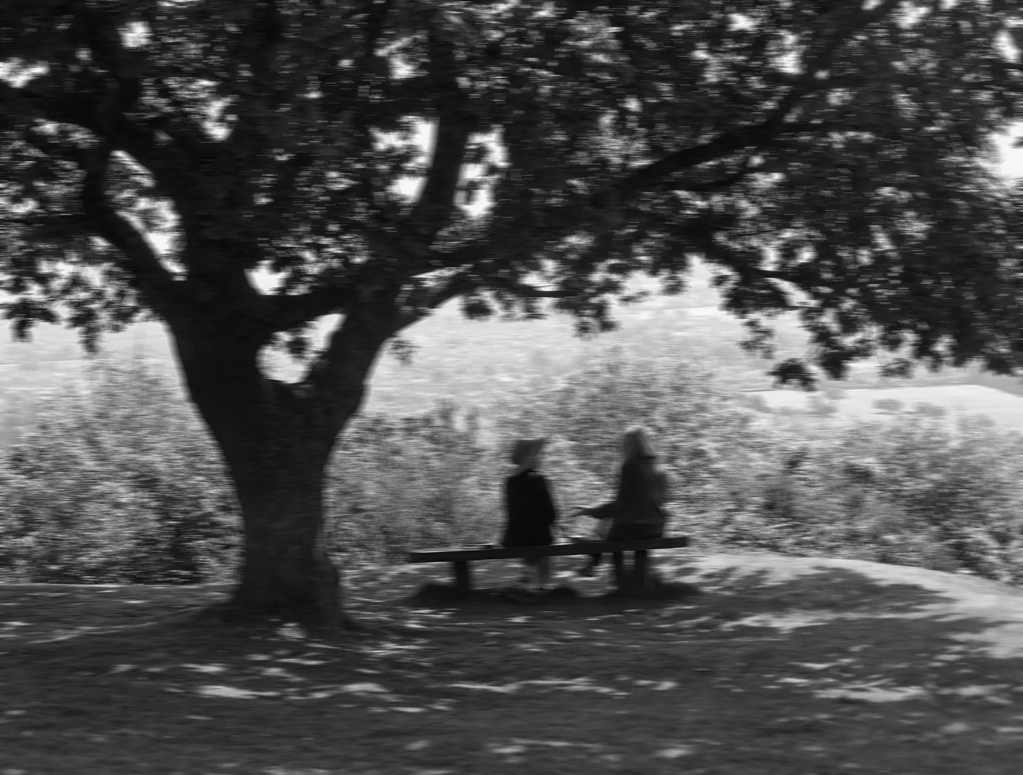 Chuyện về cây táo