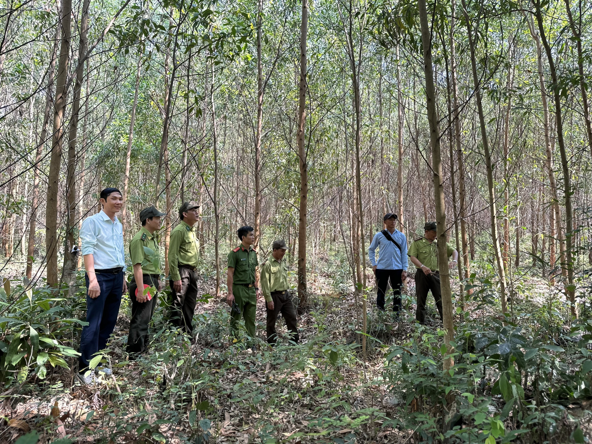 Đổi mới ngành Kiểm lâm, nâng cao chất lượng quản lý bảo vệ rừng