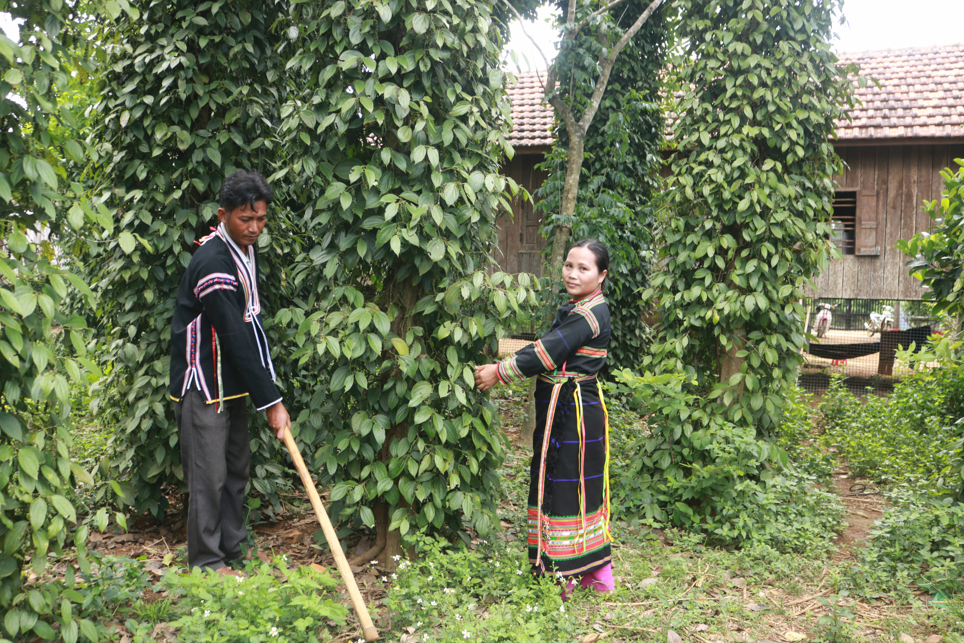 Buôn Thung khởi sắc
