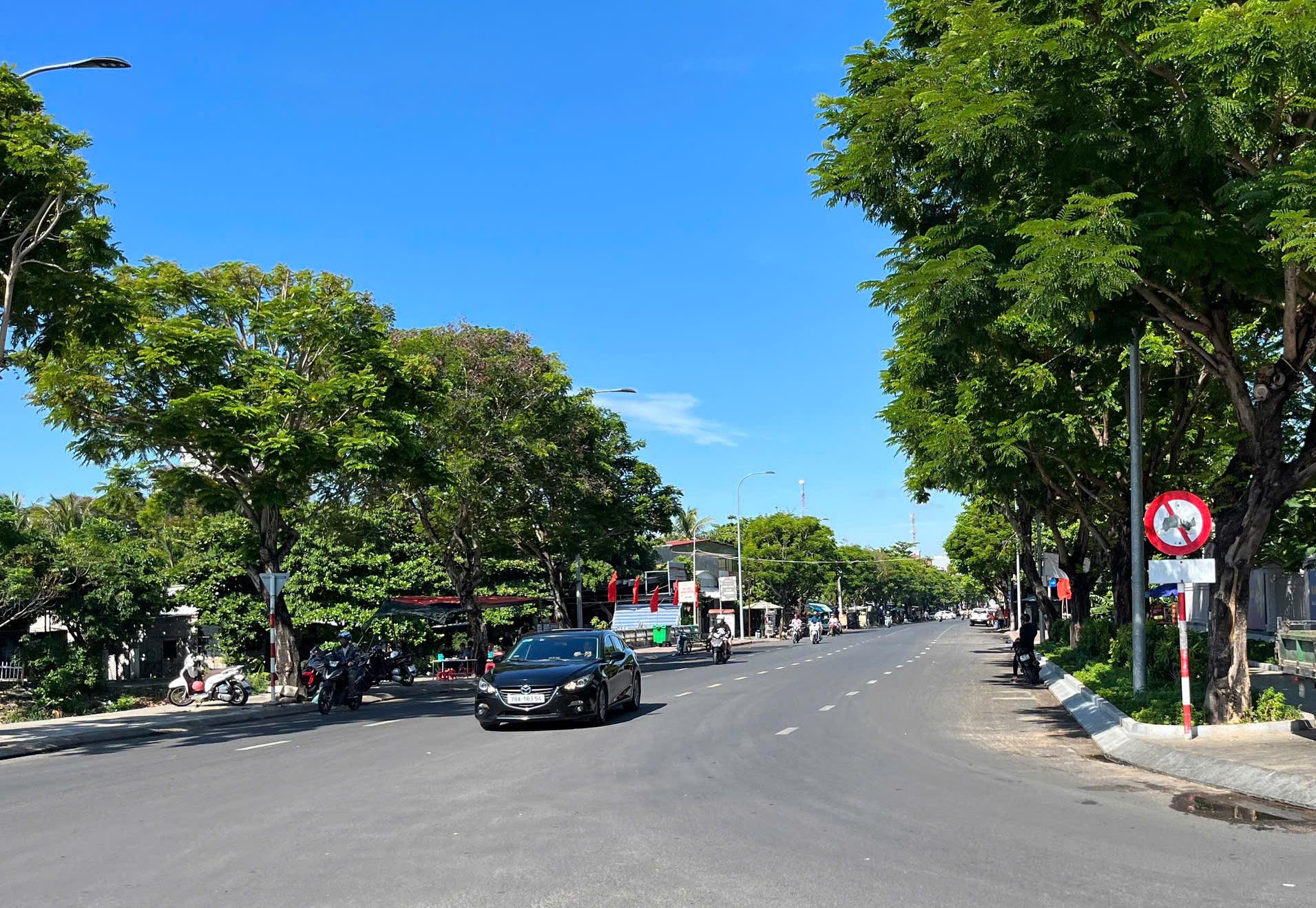 Nét phố nơi những hàng cây