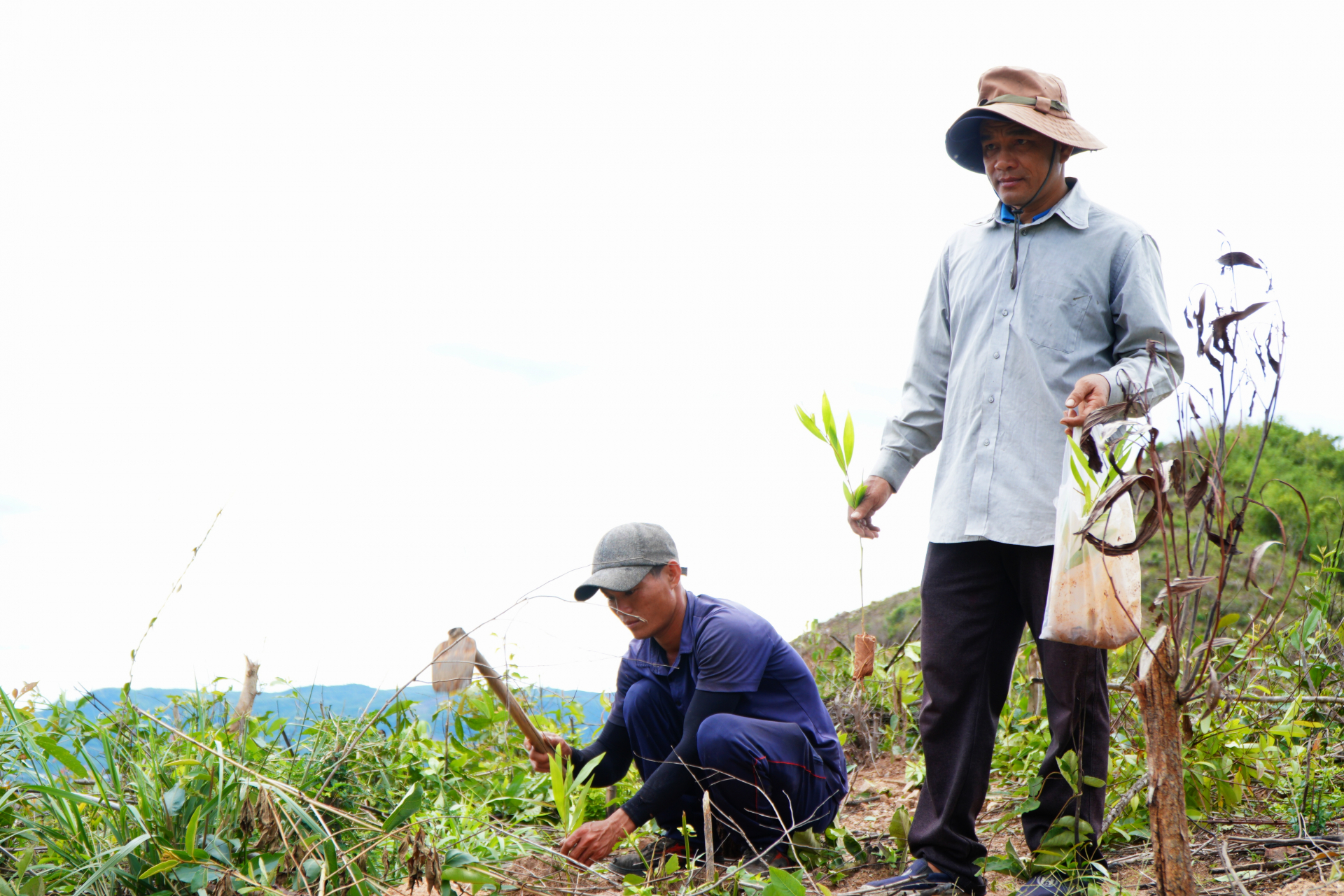 Phát triển rừng bền vững, tạo sinh kế cho người dân