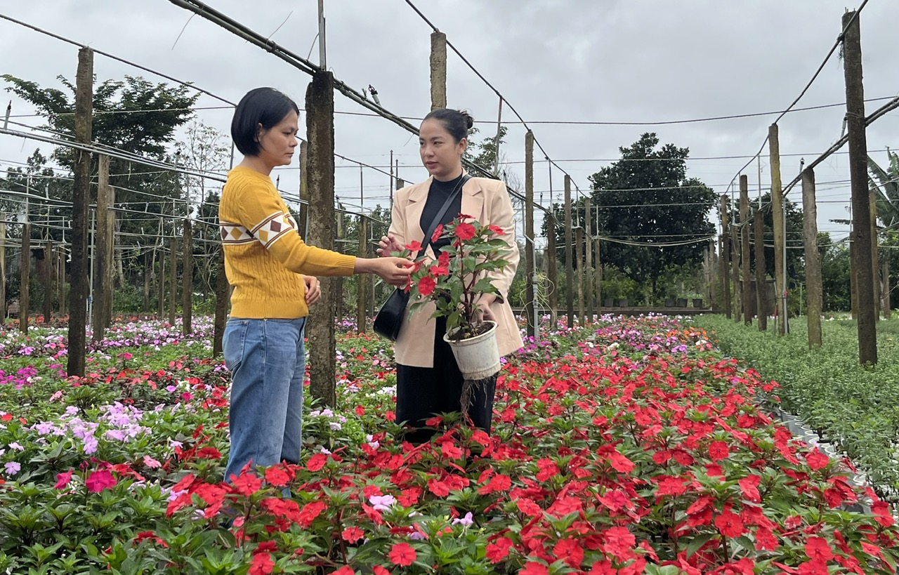 Hoàn thành sứ mệnh một nghị quyết