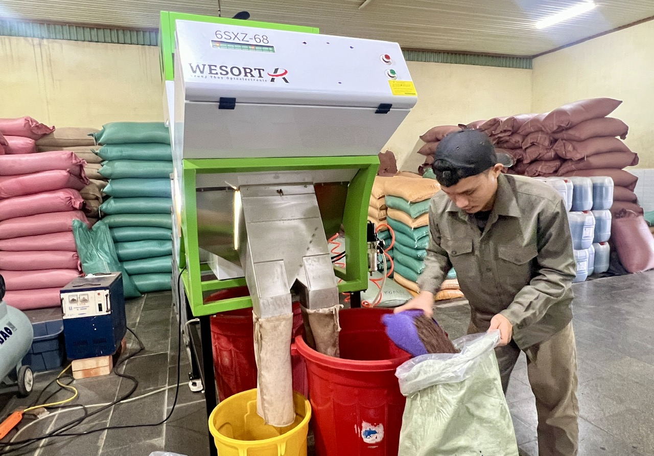 Thay đổi để giữ uy tín, thương hiệu cà phê Phú Yên