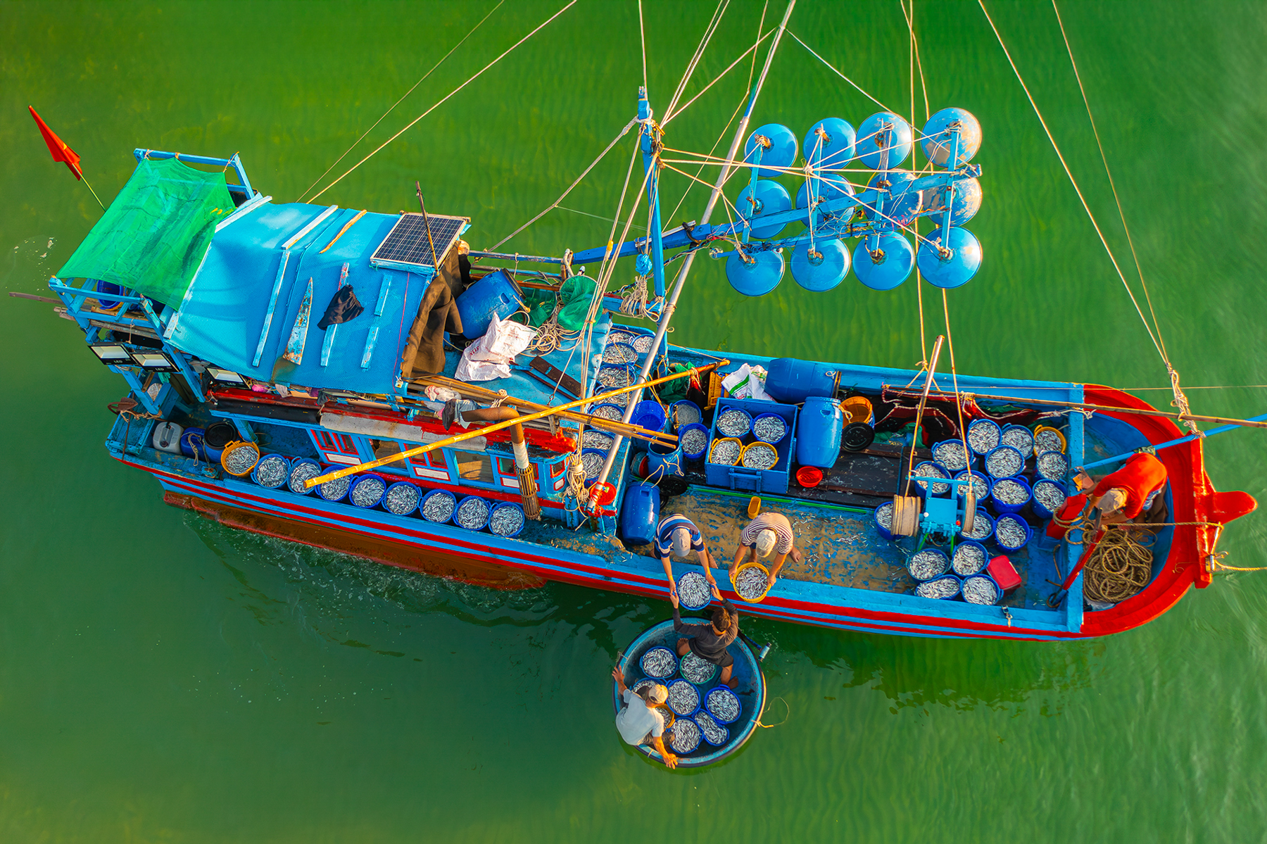 Sau một đêm xa bờ đánh bắt, trời hừng sáng cũng là lúc những con tàu đầy ắp cá trở về cập bến làng Nhơn Hội, xã An Hòa Hải, huyện Tuy An 