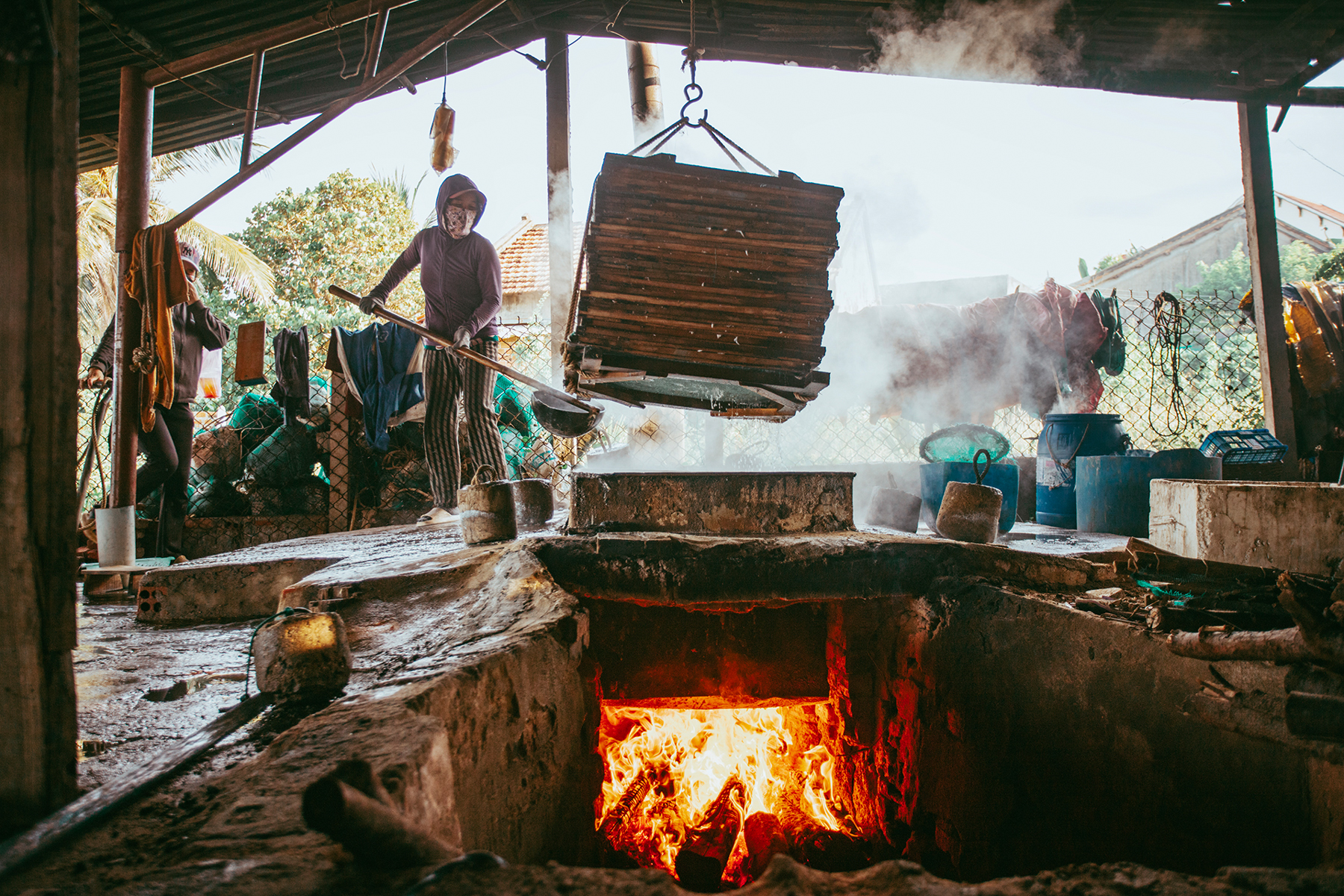 Cá sơ chế xong được đặt lên trên từng vỉ cho vào lò hấp, mỗi lượt hấp khoảng 15-20 vỉ