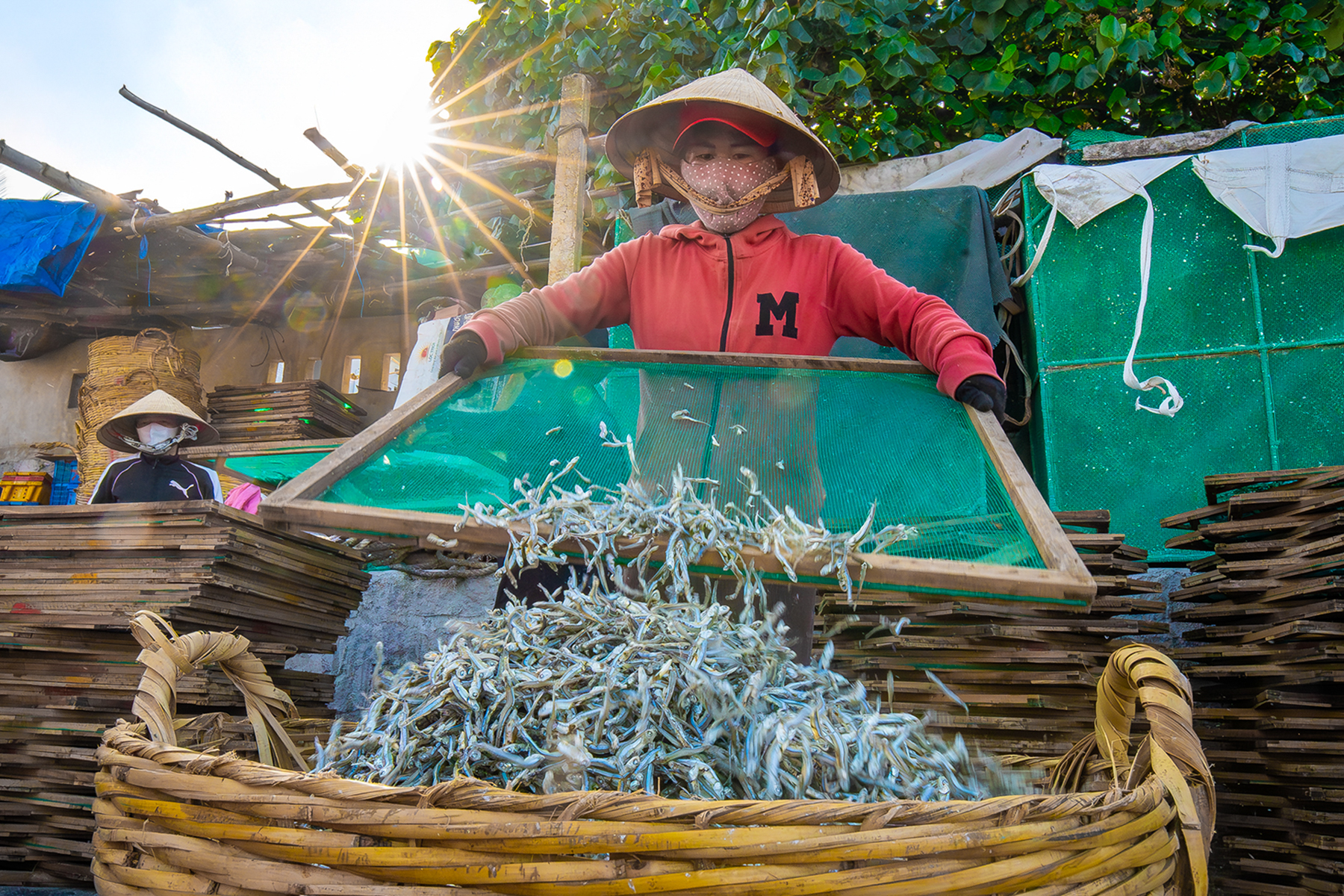 “Một giỏ cá cơm thành phẩm, mỗi người được nhận tiền công 13.000 đồng. Ngày nào tôi làm nhiều được hàng trăm giỏ, có ngày ít chỉ 10 giỏ. Vất vả nhưng mà vui”, chị Phan Thị Mỹ Thi tâm sự