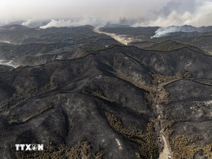 Hàn Quốc: Thảm họa cháy rừng tiếp tục lan rộng chưa từng có