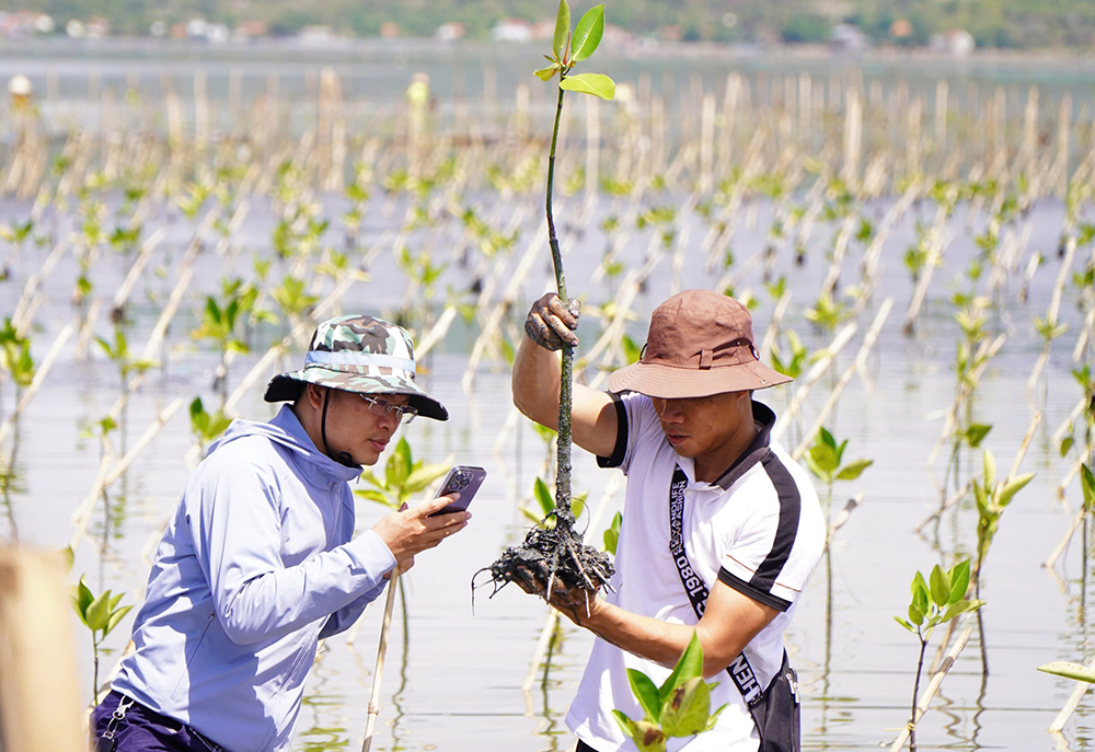 Bảo vệ môi trường - Hành động không ngưng nghỉ! (kỳ cuối)
