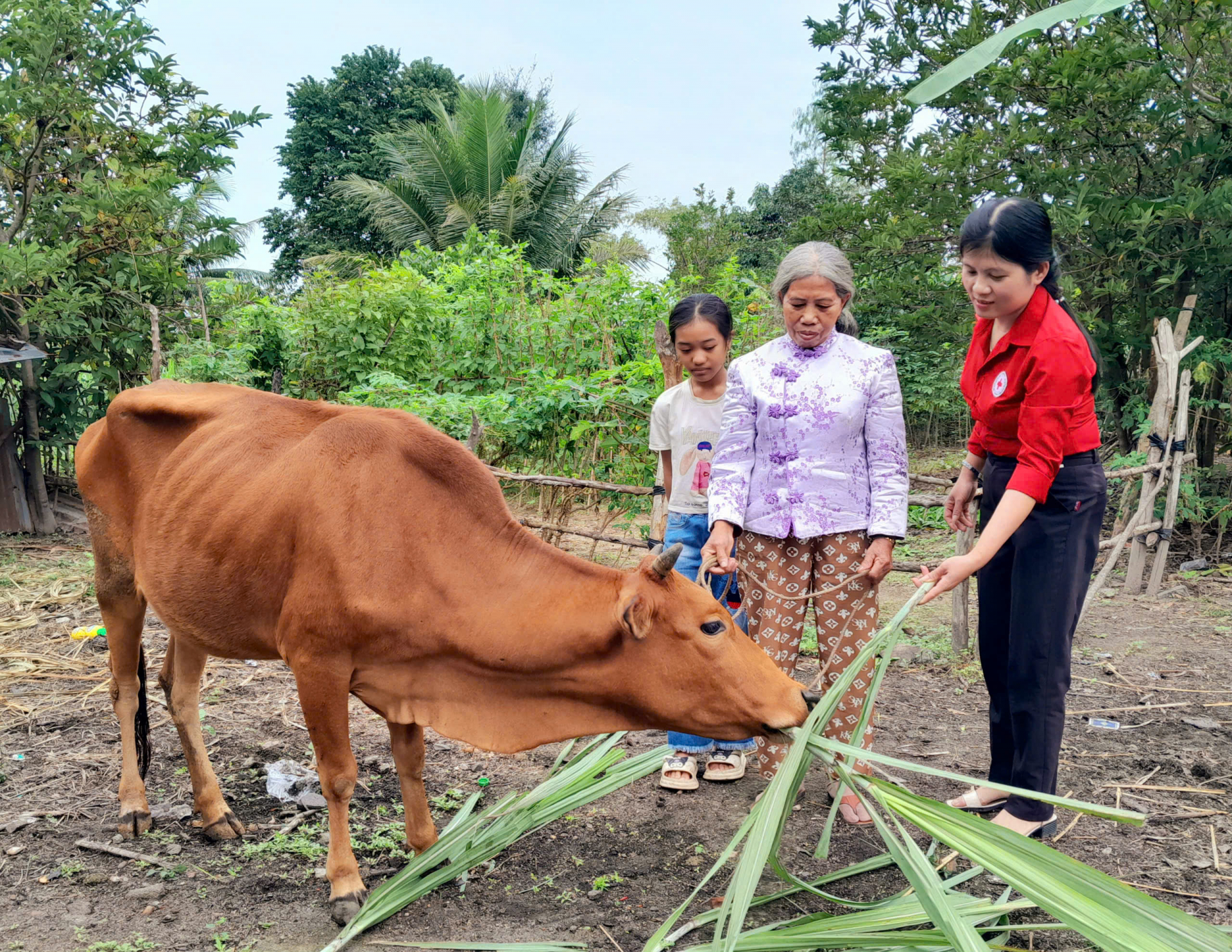 Hỗ trợ sinh kế giúp các hoàn cảnh đặc biệt khó khăn