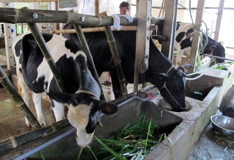 Việt Nam thúc đẩy hợp tác với Canada trong bối cảnh Mỹ vừa công bố áp thuế quan