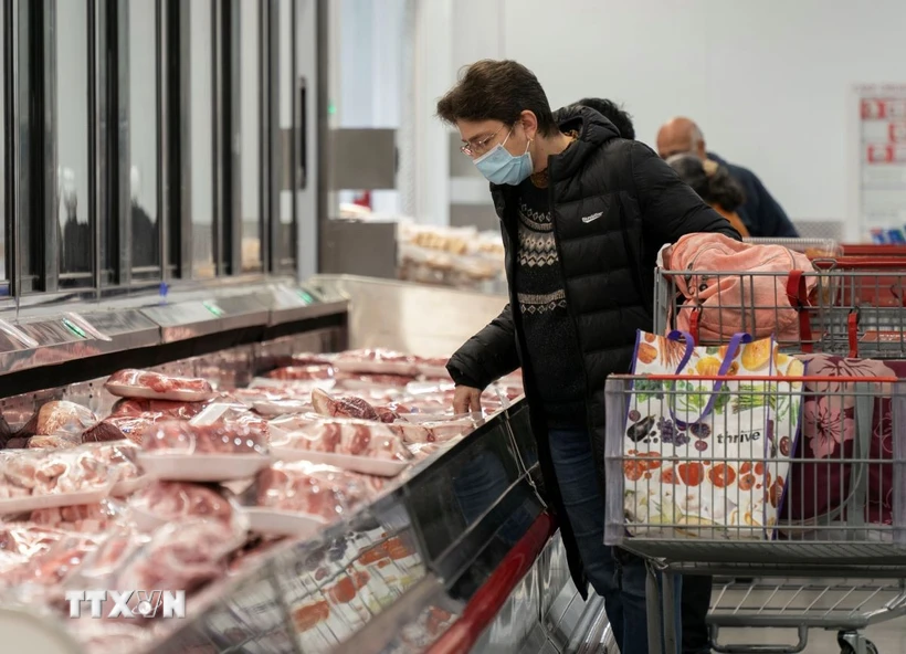 Fitch hạ dự báo tăng trưởng kinh tế toàn cầu xuống mức thấp nhất trong 6 năm