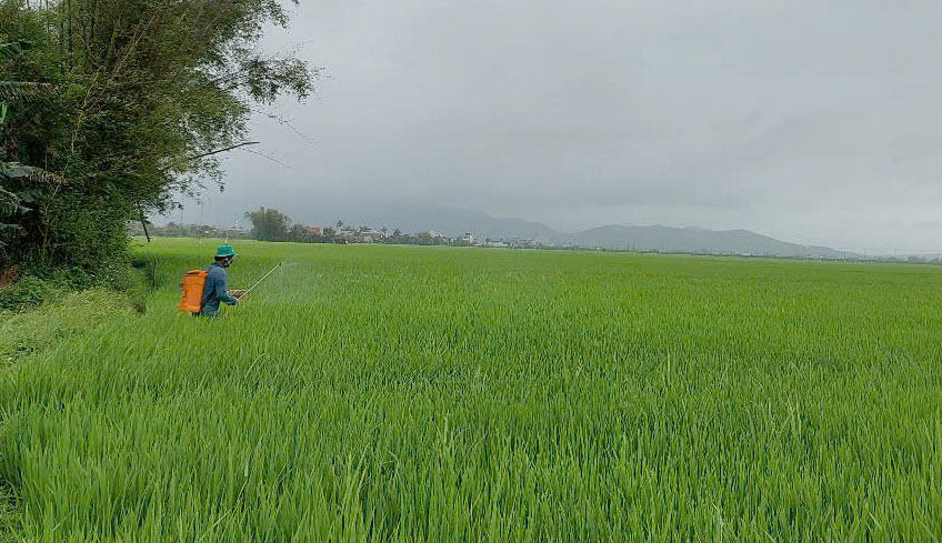 Nâng cao ý thức trong sử dụng thuốc bảo vệ thực vật