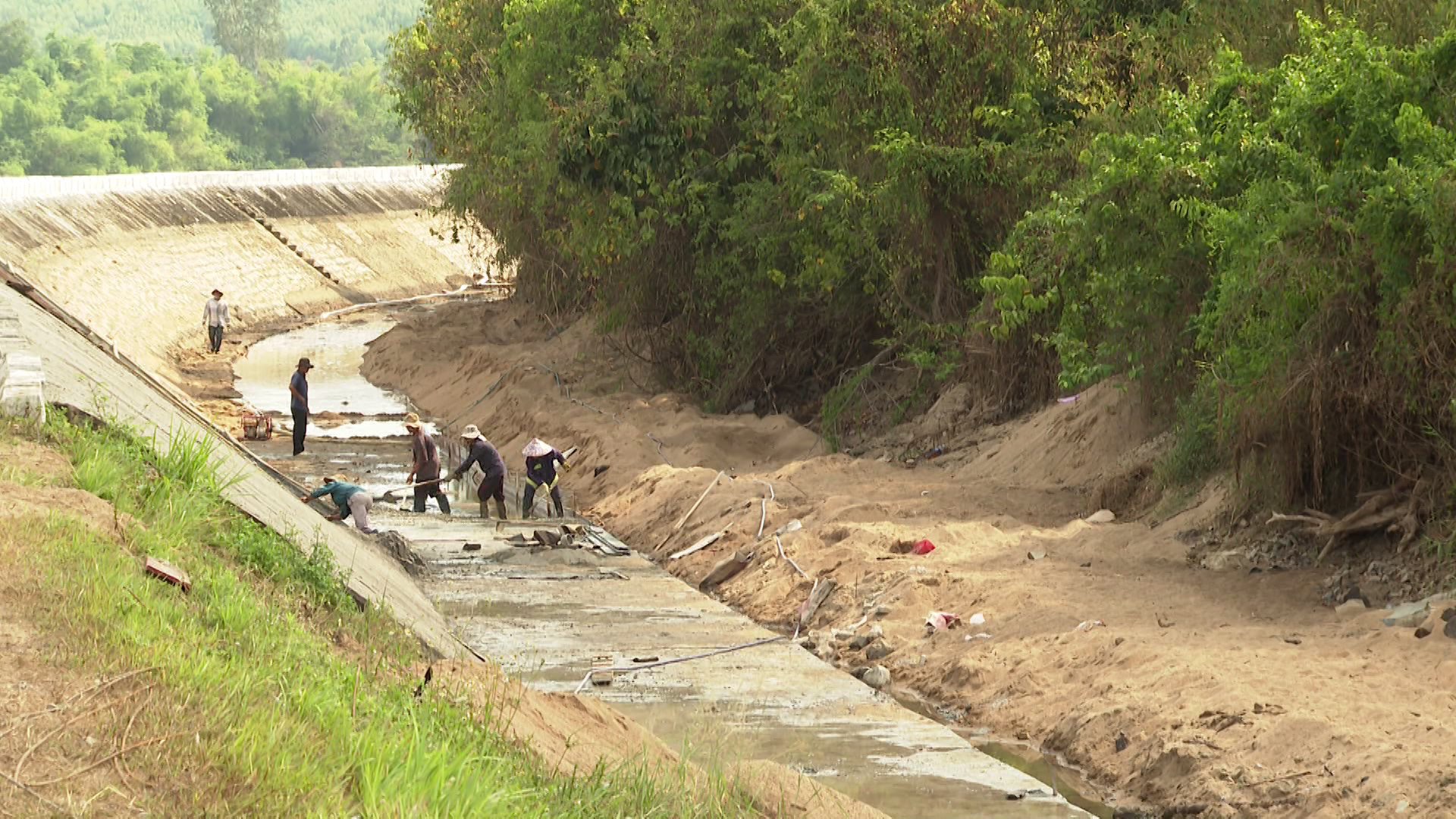 Chủ động phương án sản xuất vụ hè thu