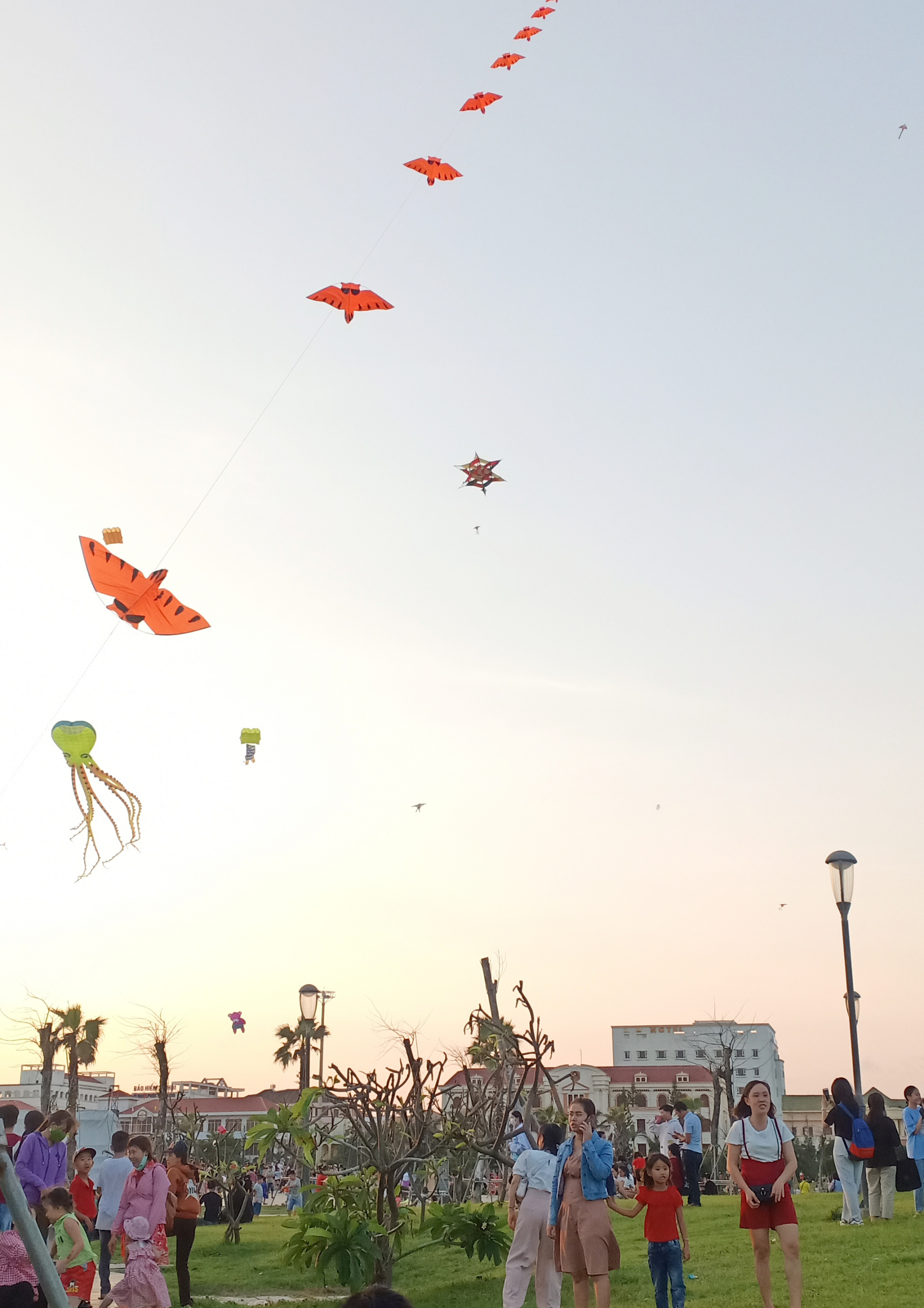 Trên những tầng cao