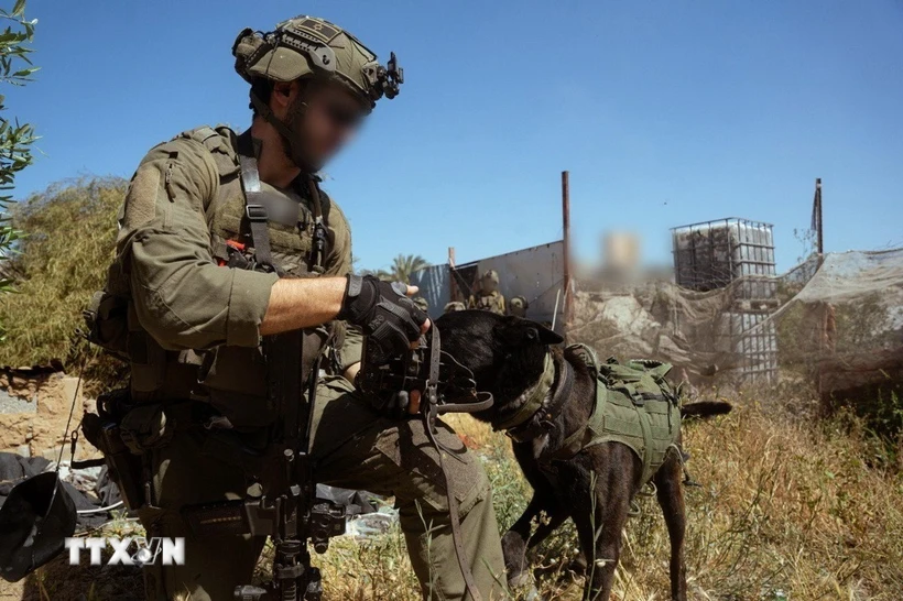 Quân đội Israel điều động toàn bộ các lữ đoàn bộ binh và thiết giáp tới Gaza