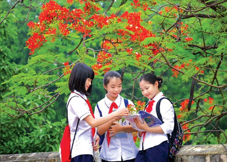 Hạ về khơi ký ức