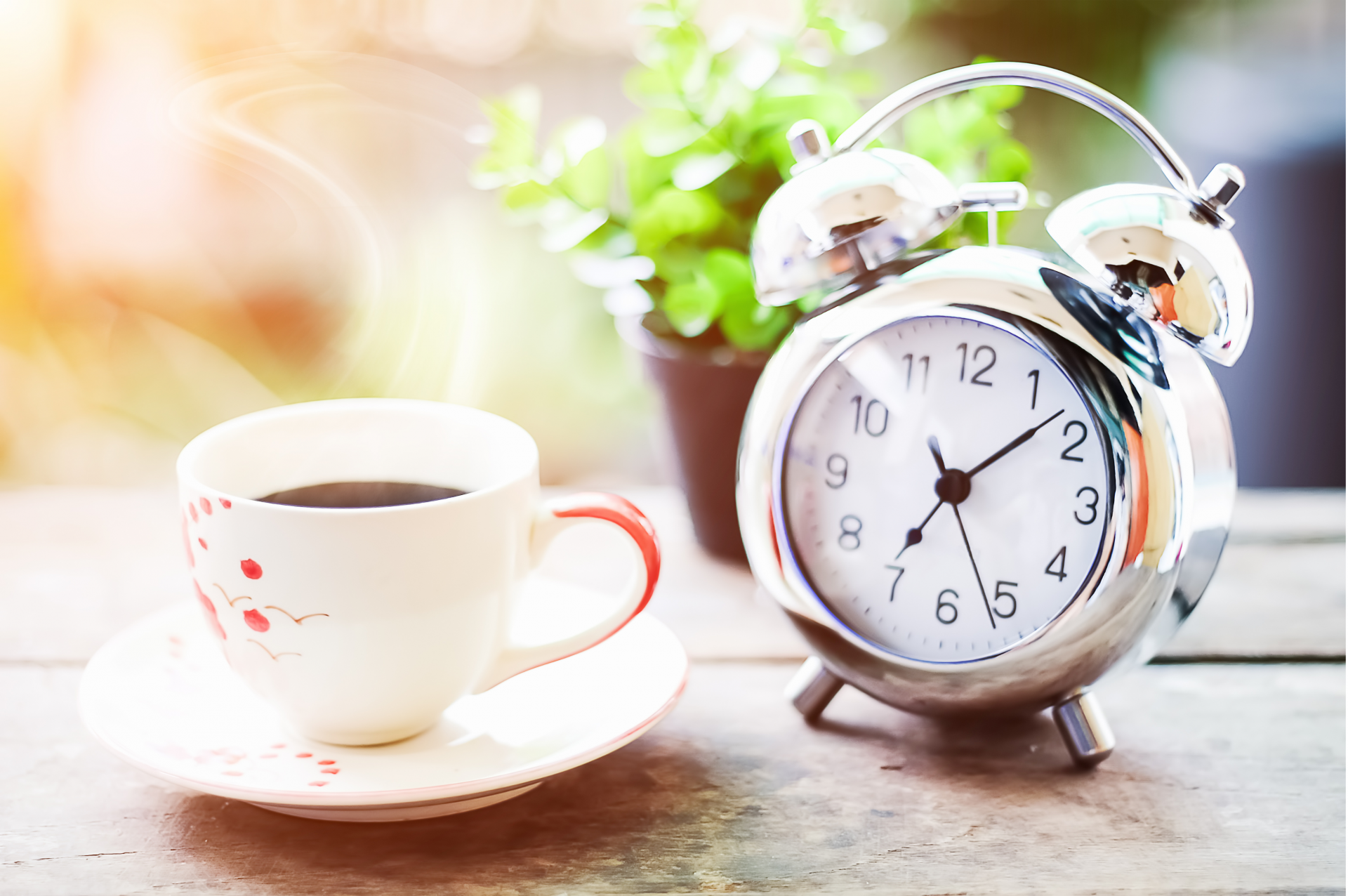 Buổi sớm mùa hè