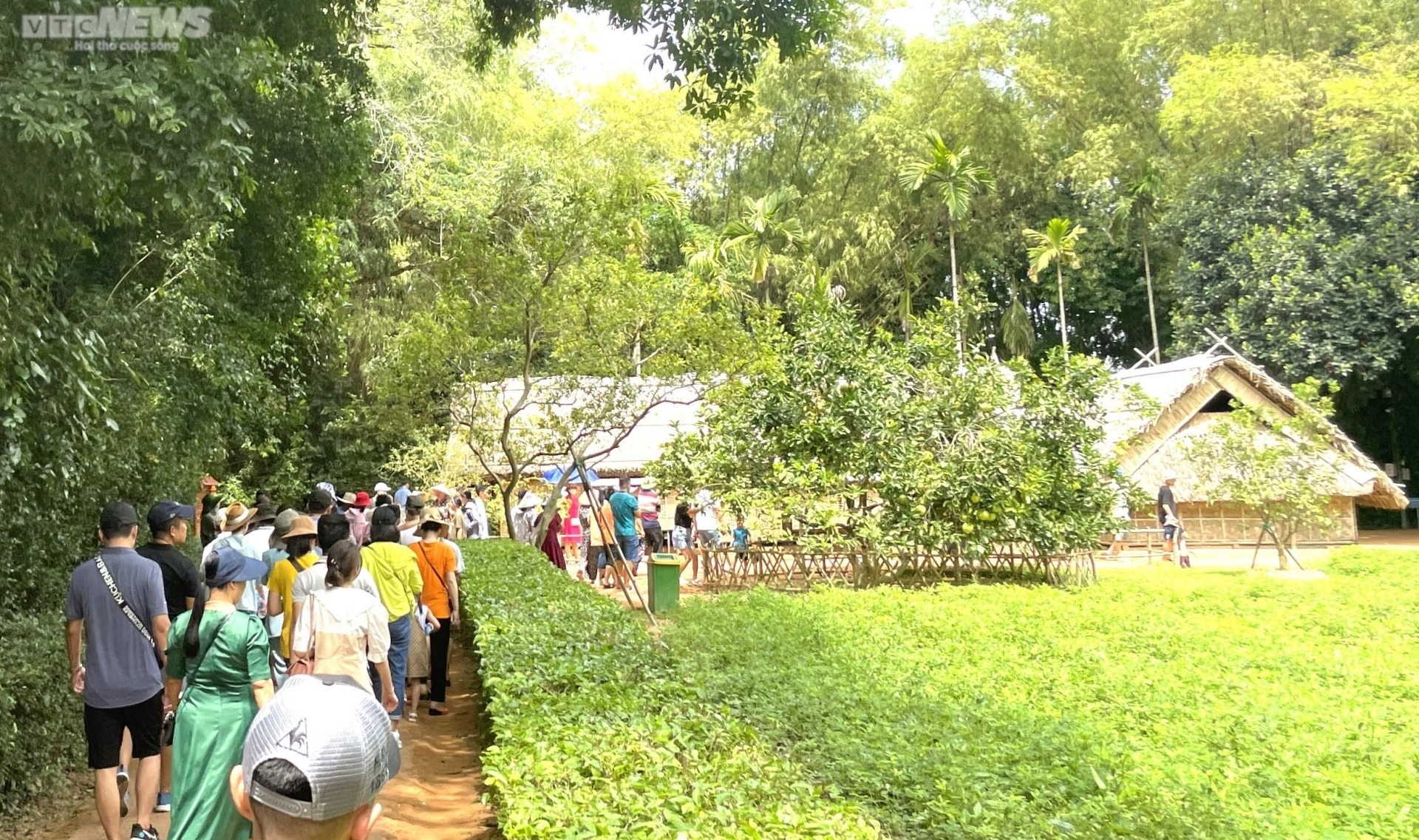 Con về thăm quê Bác