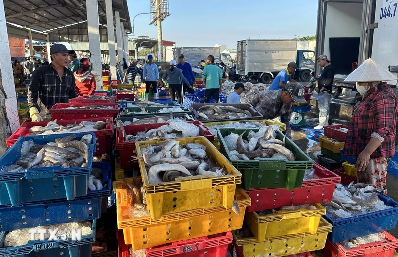 Xuất khẩu thủy sản duy trì đà tăng trước tác động của chính sách thuế quan