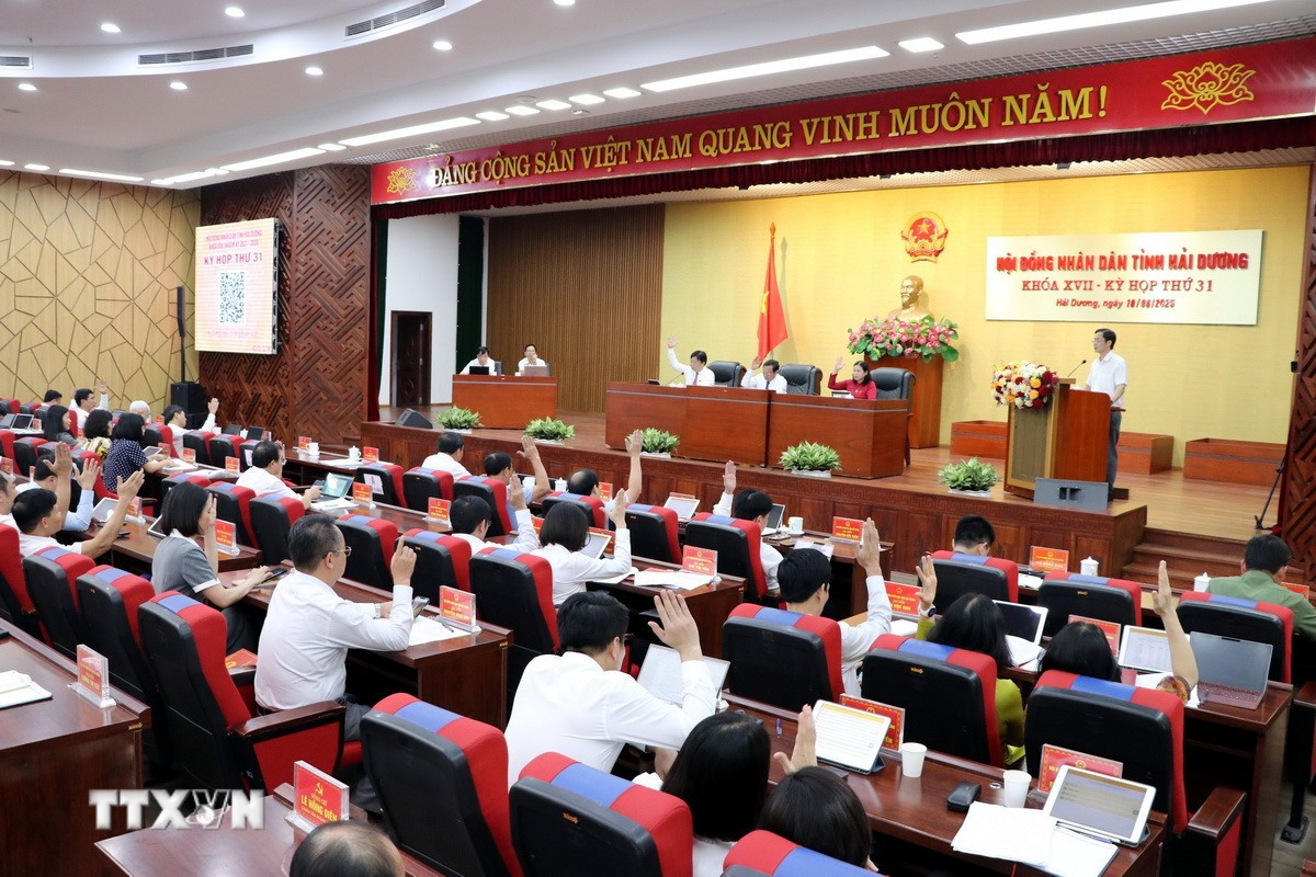 Tổ chức và hoạt động của Đoàn ĐBQH, HĐND sau sắp xếp