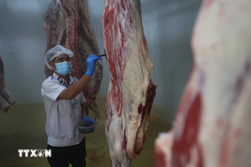 Tăng cường thanh tra, kiểm tra đột xuất đối với cơ sở giết mổ