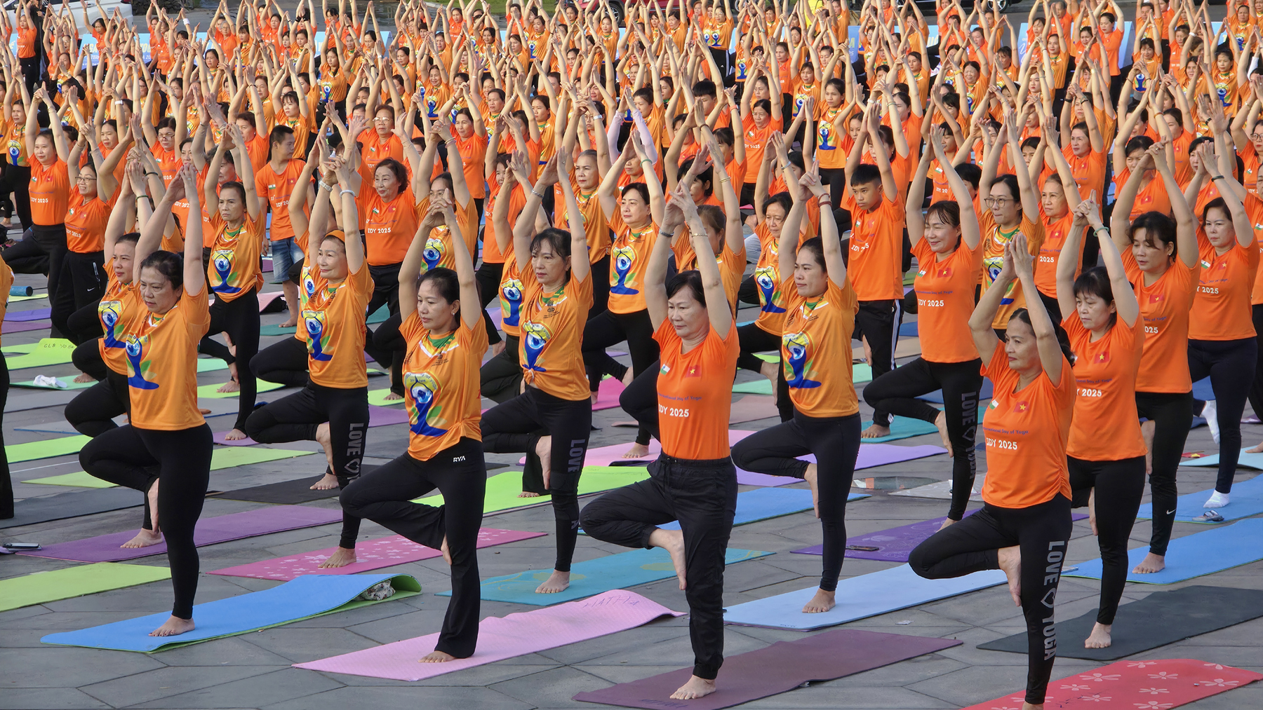 Sắc màu Ngày Quốc tế Yoga